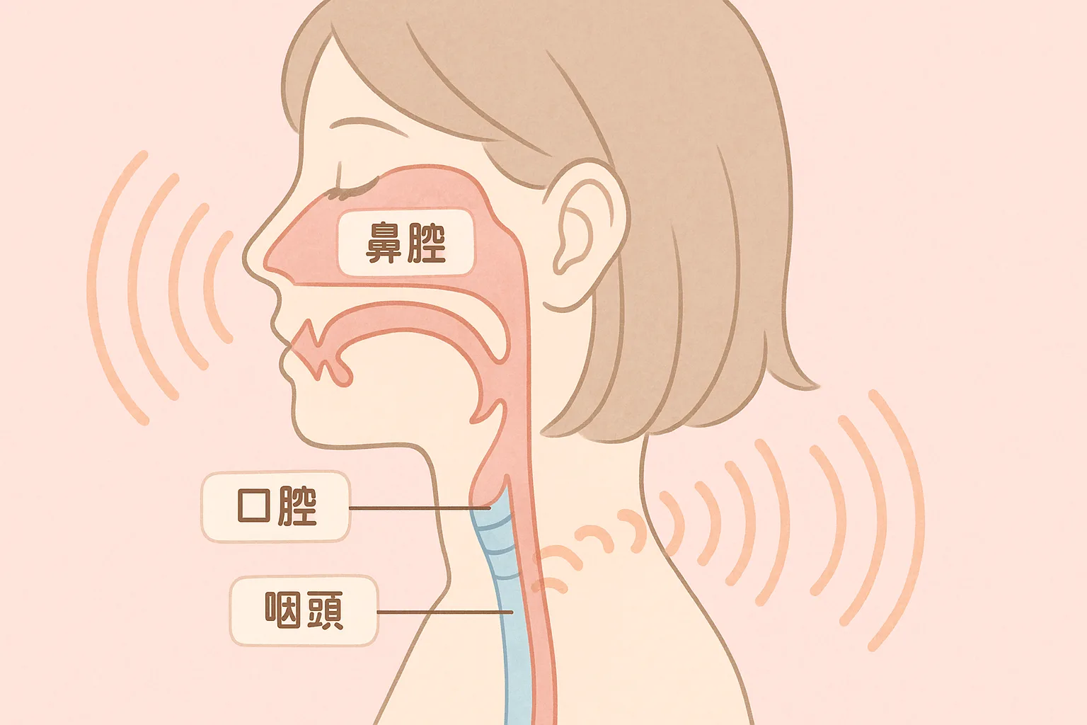 美しい歌声をつくる ボイトレ 鼻腔 口腔 咽頭