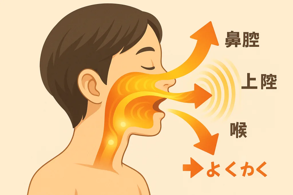 しゃくり カラオケ 精密採点 発声