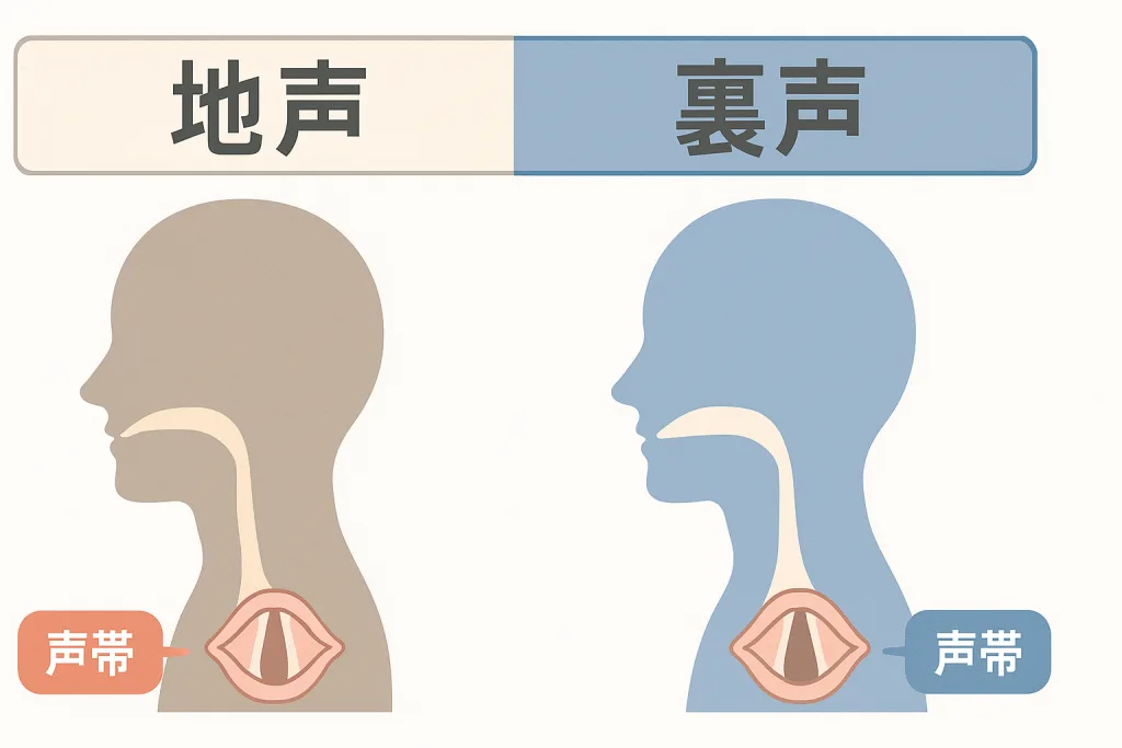 地声と裏声