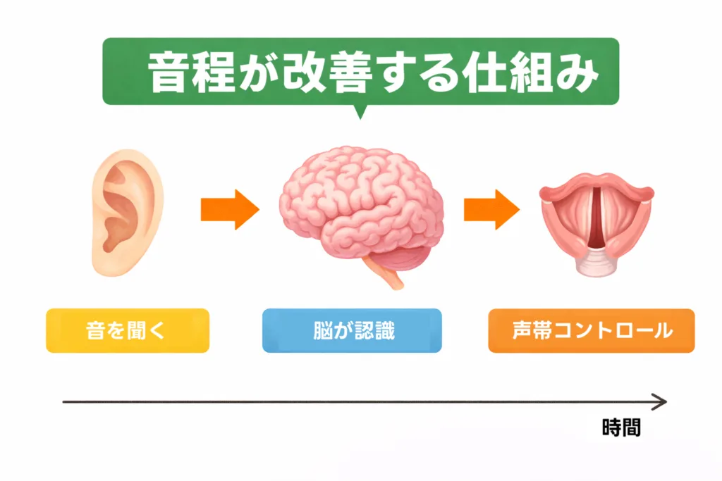 音痴改善の仕組み